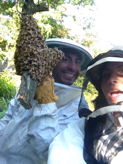 local NJ honey in your backyard